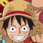 ONE PIECE’s life|海賊王的一生|ワンピースの生涯